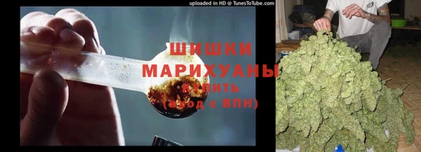 стафф Елизово