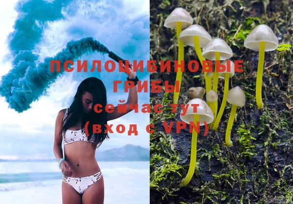 спайс Куйбышев