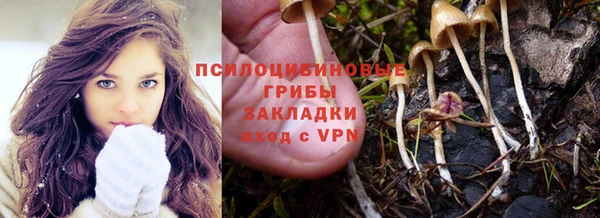 spice Бердск