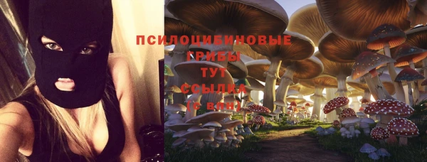spice Бердск