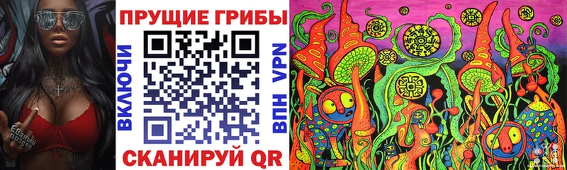 где продают наркотики Севск Галлюциногенные грибы Psilocybine cubensis